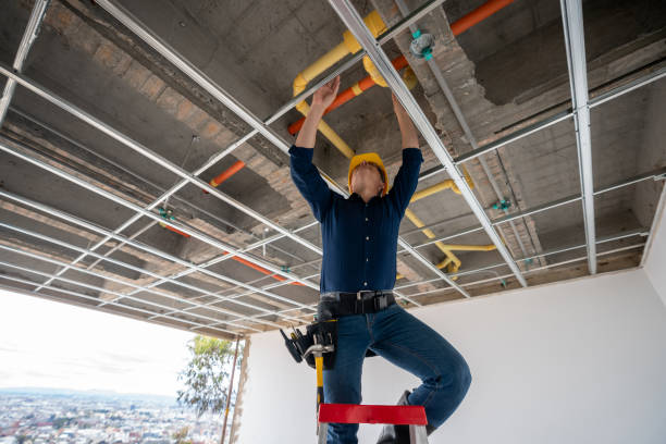 Best Plumbing Inspection Services  in Forney, TX